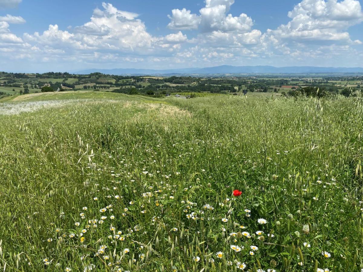 Agriturismo La Collina Siena Buitenkant foto