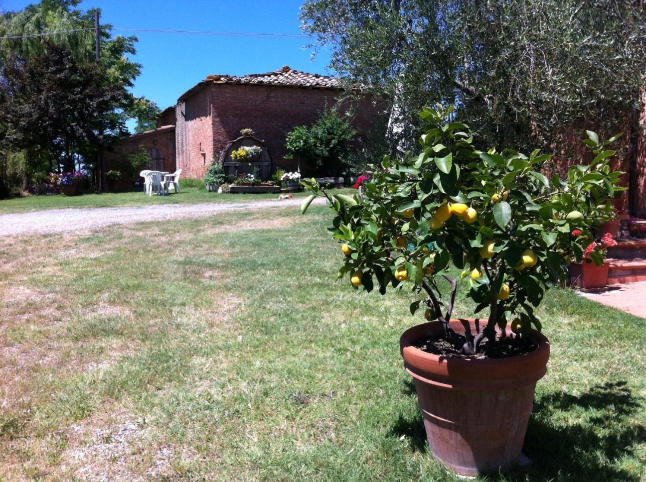 Agriturismo La Collina Siena Buitenkant foto
