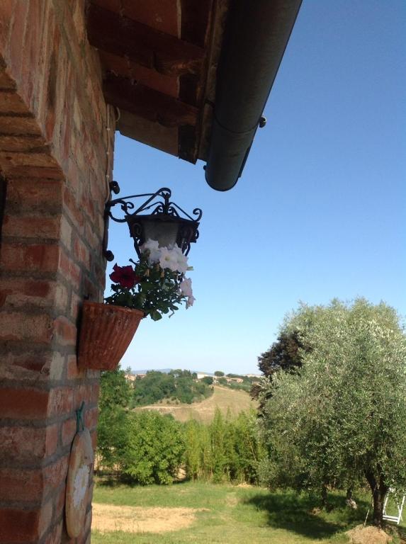 Agriturismo La Collina Siena Buitenkant foto